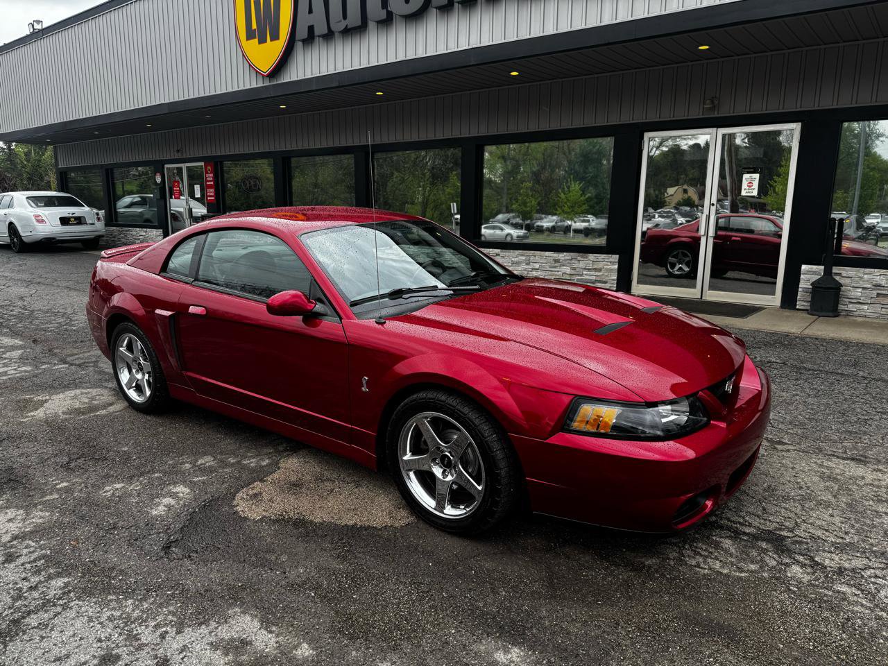 Used 2004 Ford Mustang Cobra RWD image 2