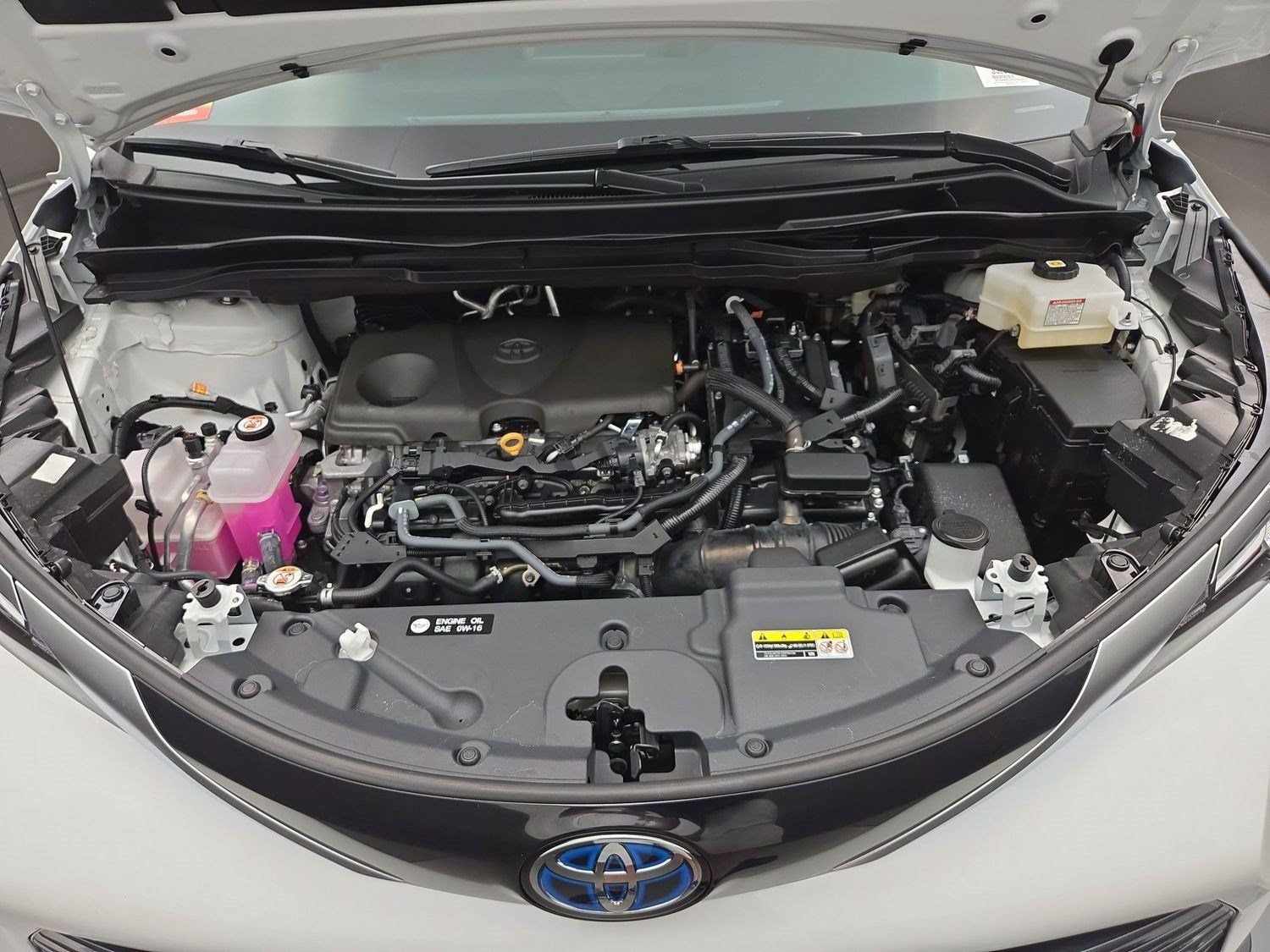 Certified 2025 Toyota Sienna Limited FWD image 31