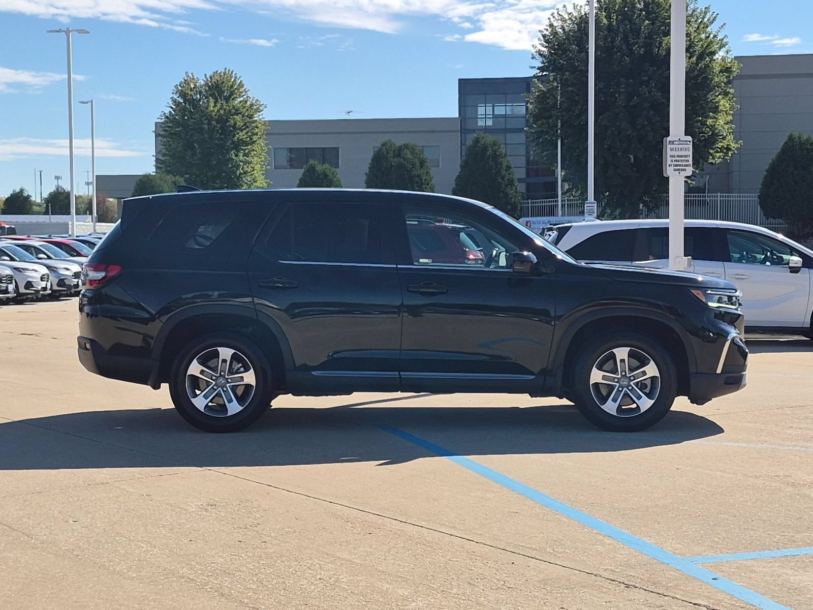 Certified 2025 Honda Pilot EX-L image 5