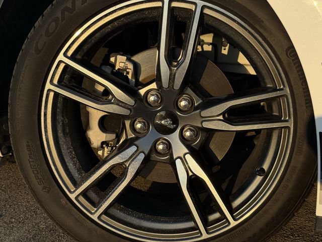 Used 2024 Ford Mustang Premium w/ Wheel & Stripe Package RWD image 9
