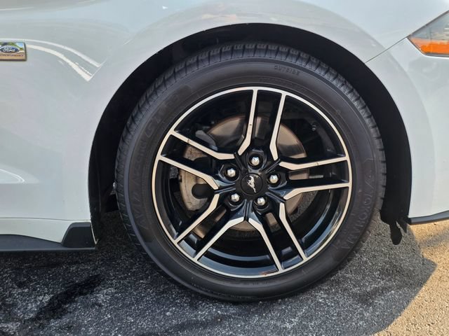 Used 2018 Ford Mustang Coupe w/ Equipment Group 101A RWD image 16