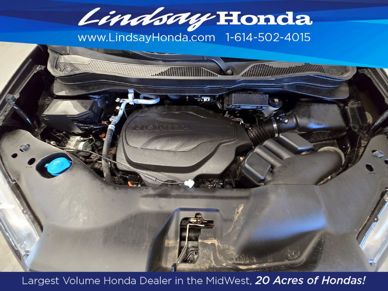 Used 2025 Honda Passport TrailSport image 24