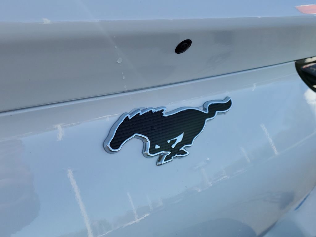 New 2025 Ford Mustang Mach-E Premium w/ Sport Appearance Package image 6