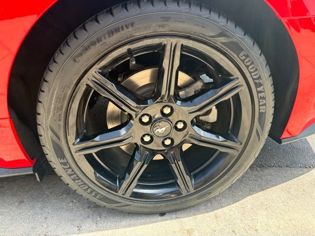 Used 2019 Ford Mustang GT w/ Equipment Group 301A RWD image 36