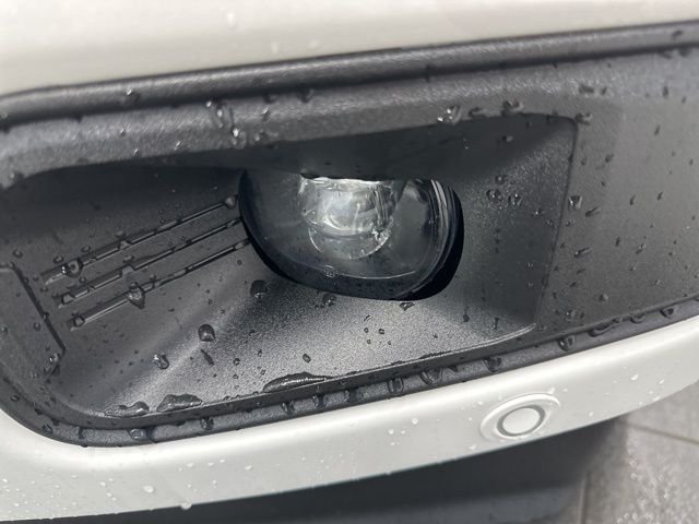 New 2026 Ford F250 Platinum image 5