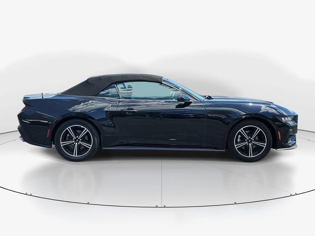 Used 2025 Ford Mustang Premium RWD image 2