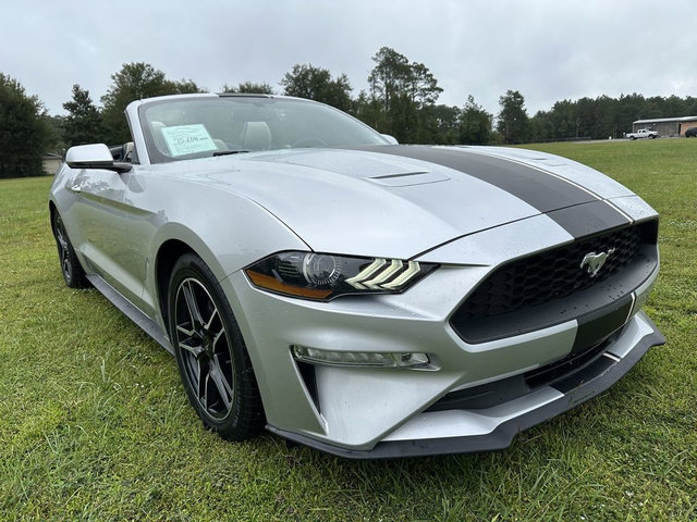 Used 2019 Ford Mustang Premium RWD image 3