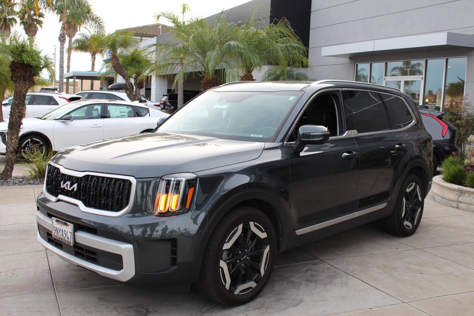 Certified 2024 Kia Telluride EX image 5