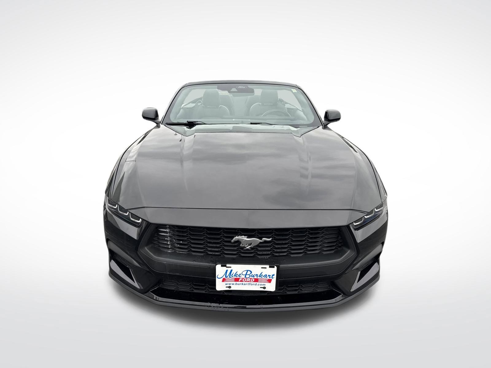 Used 2024 Ford Mustang Premium image 12