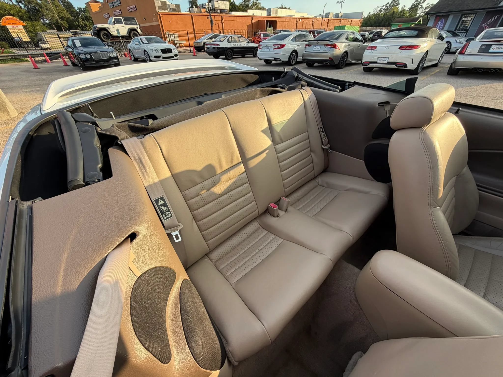Used 1999 Ford Mustang Cobra RWD image 28