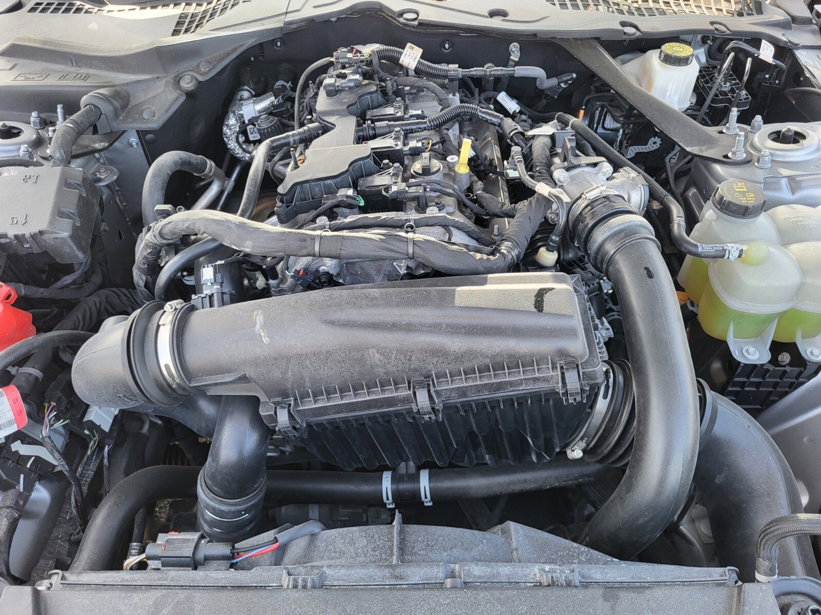 Used 2024 Ford Mustang Premium image 30