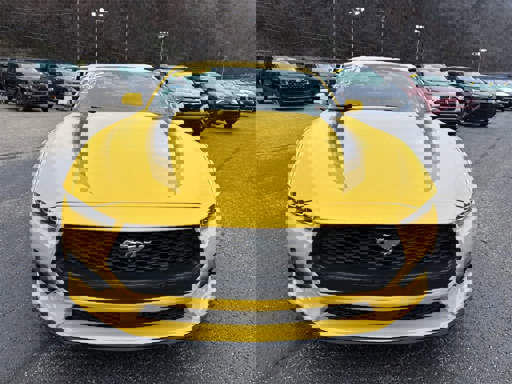 Used 2024 Ford Mustang EcoBoost image 11