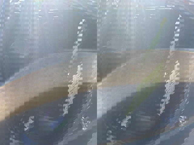 Used 2017 Dodge Charger R/T image 13