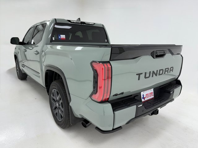 New 2026 Toyota Tundra Platinum image 38