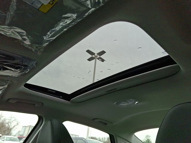 New 2026 Hyundai Elantra Limited image 7