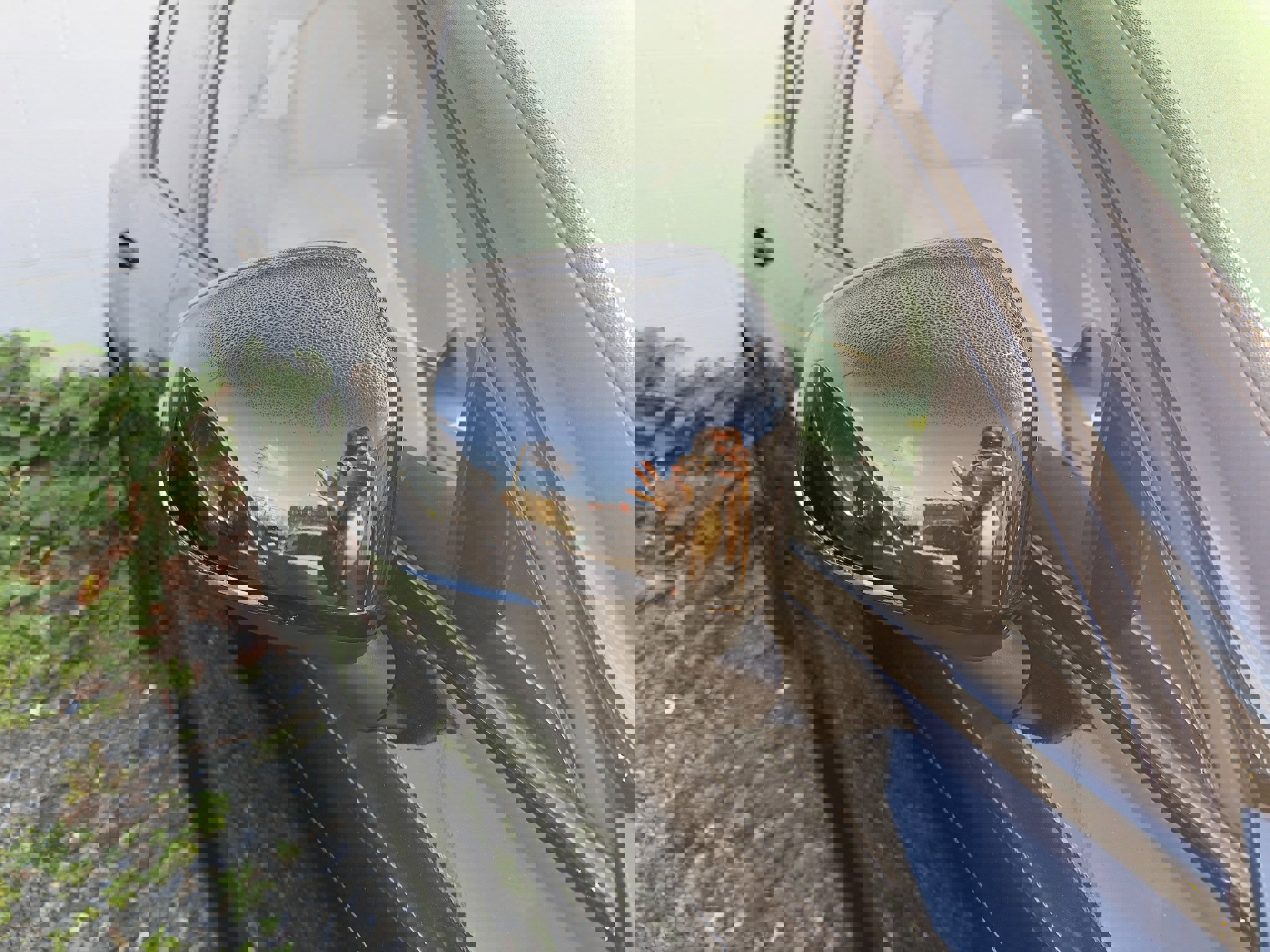 Certified 2023 Volvo XC40 B5 Plus w/ Climate Package image 11