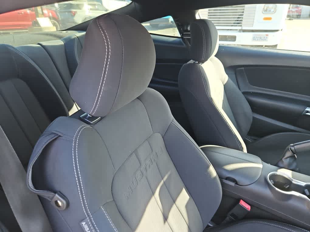 Used 2019 Ford Mustang GT w/ Equipment Group 301A RWD image 15