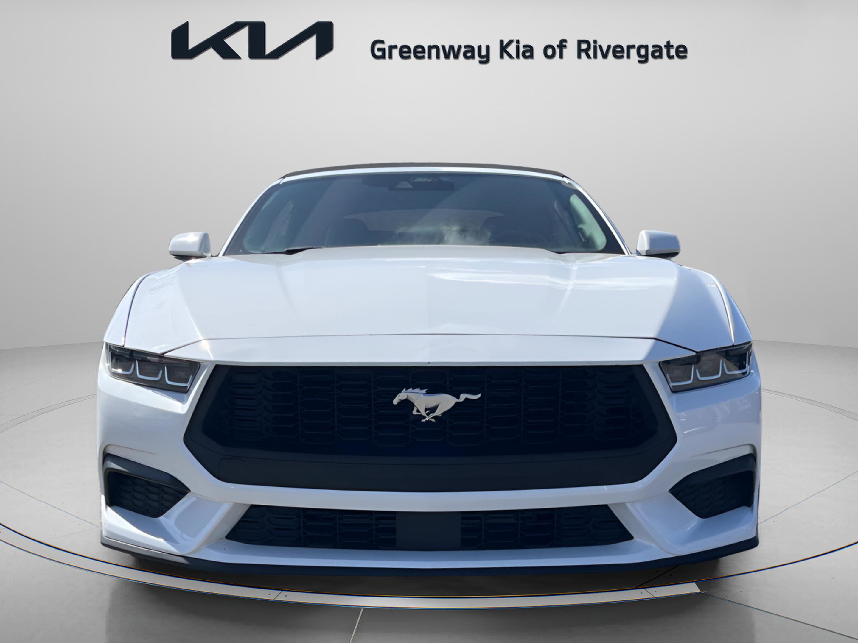 Used 2024 Ford Mustang Premium image 2