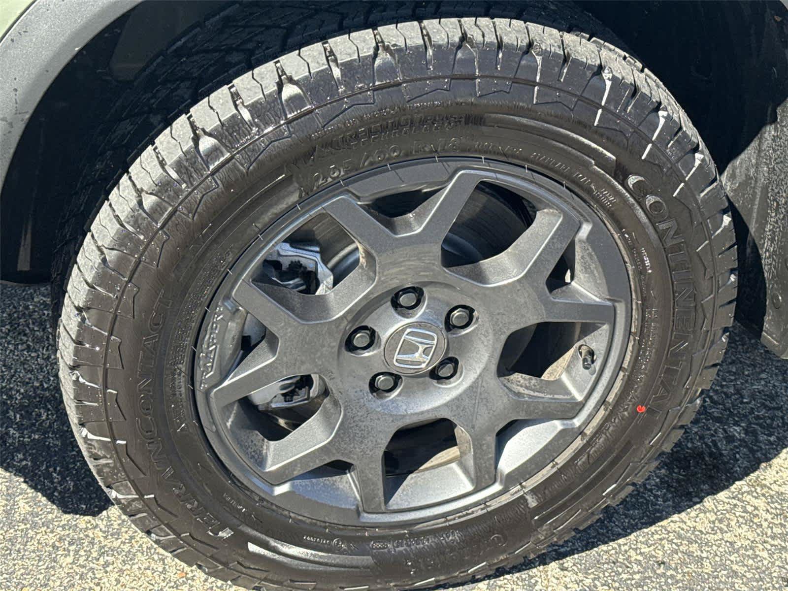 Used 2026 Honda Pilot TrailSport image 11