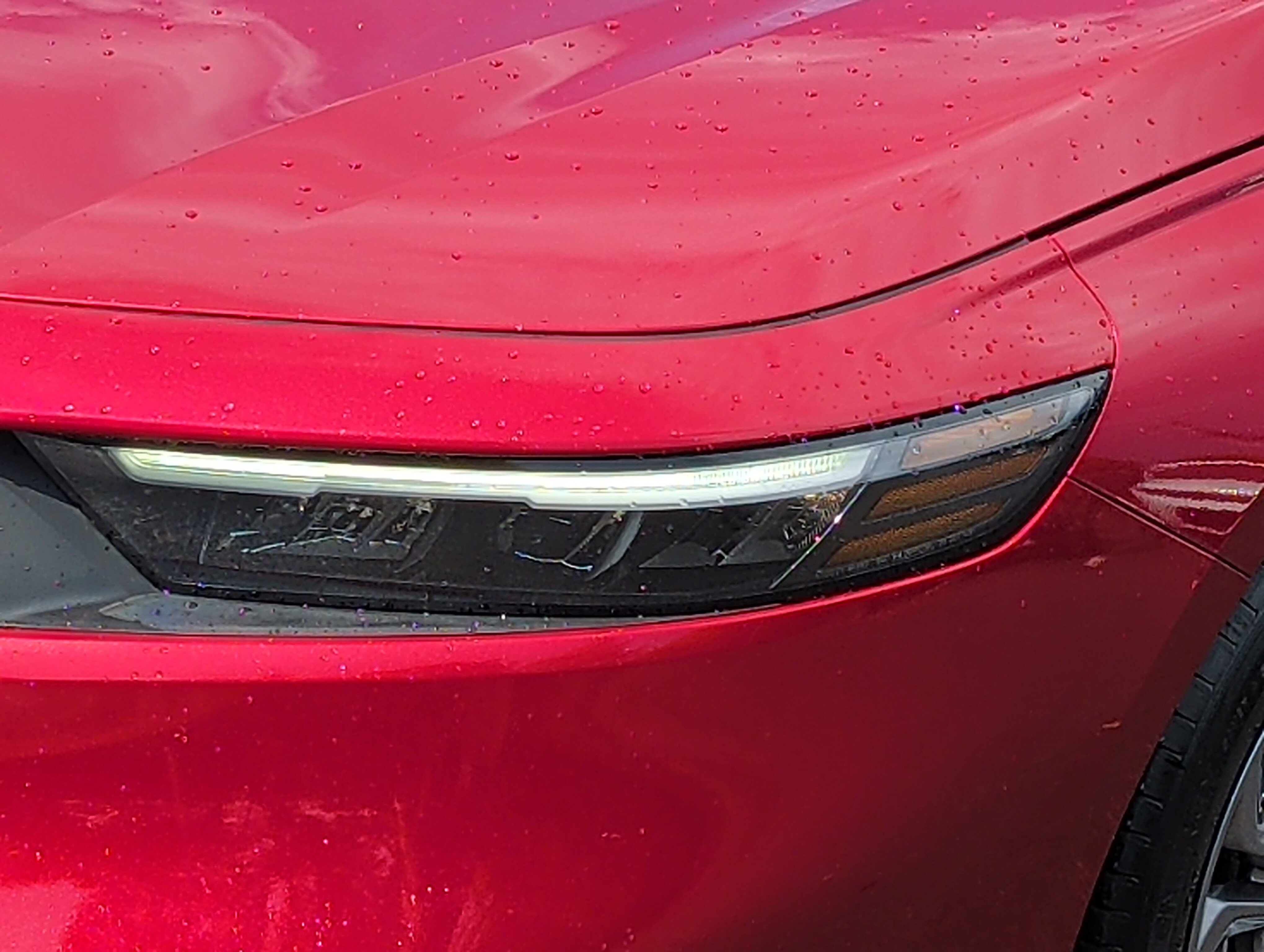 Certified 2024 Honda Accord EX image 17