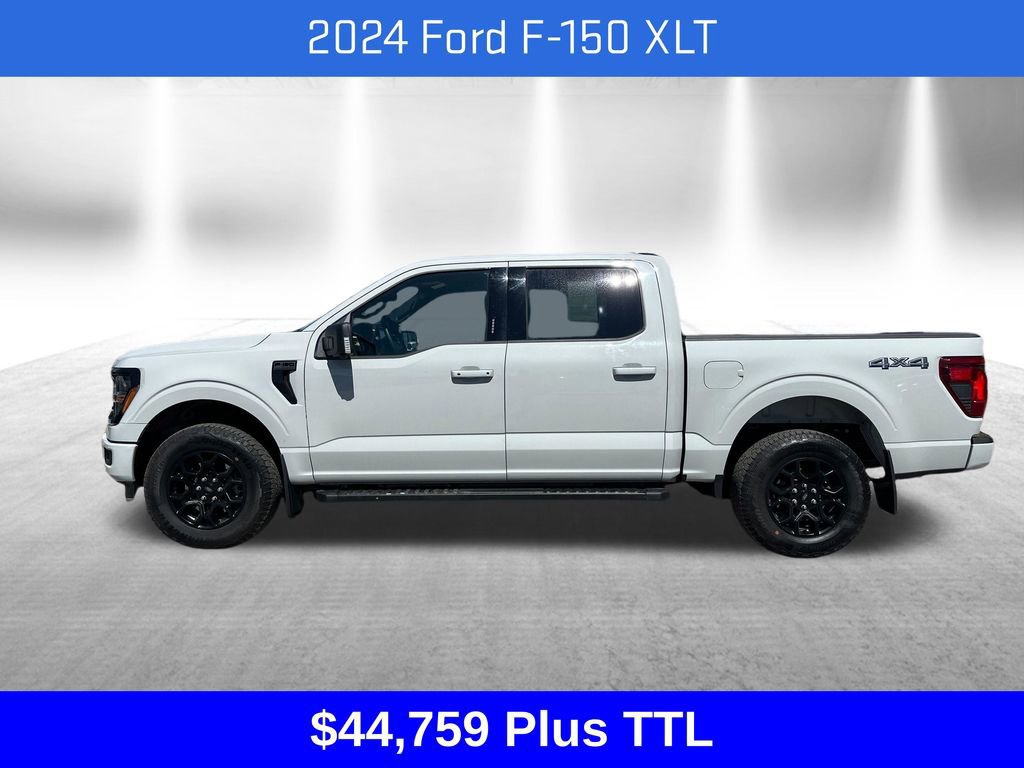 Used 2024 Ford F150 XLT w/ Equipment Group 302A MID image 2