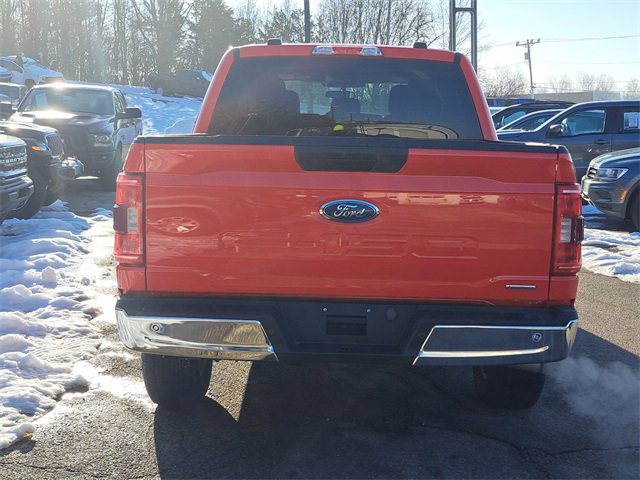 Used 2023 Ford F150 XLT image 4