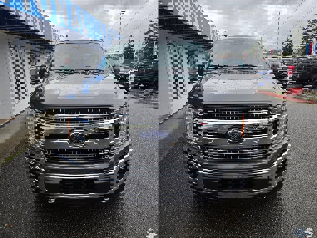 Used 2019 Ford F150 XLT w/ Equipment Group 302A Luxury image 2