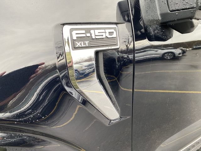 New 2025 Ford F150 XLT w/ Equipment Group 303A High image 41