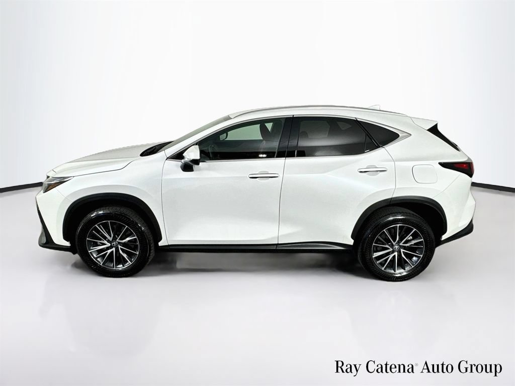 Certified 2024 Lexus NX 250 AWD w/ Cold Area Package image 4