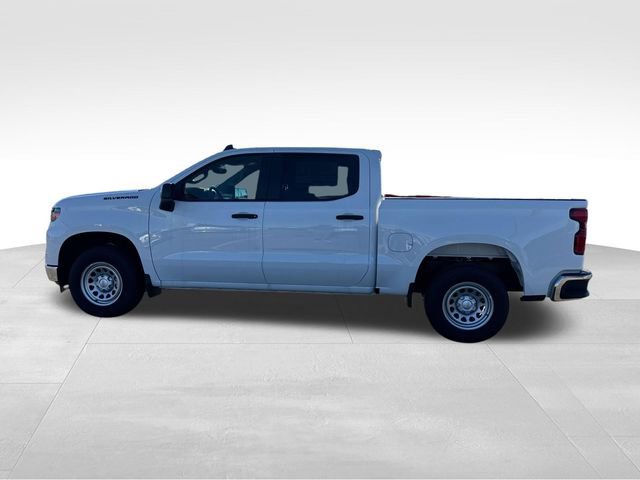 New 2025 Chevrolet Silverado 1500 W/T w/ WT Safety Package image 7