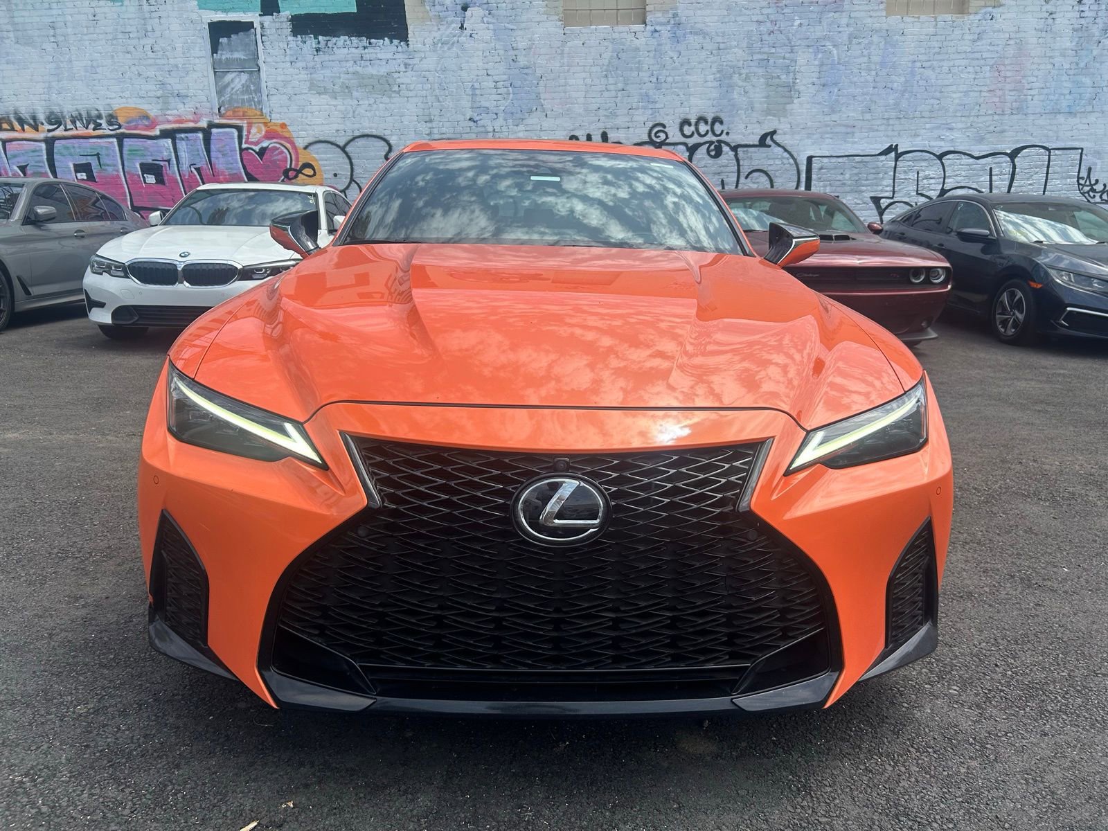 Used 2023 Lexus IS 500 w/ Special Appearance Package image 2