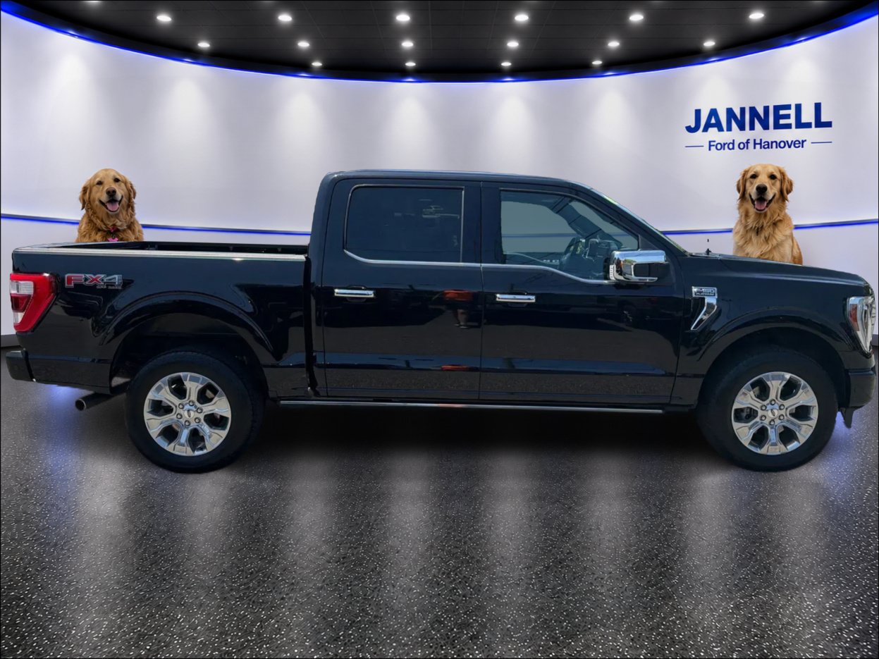 Used 2023 Ford F150 Platinum w/ Equipment Group 701A High AWD/4WD image 4