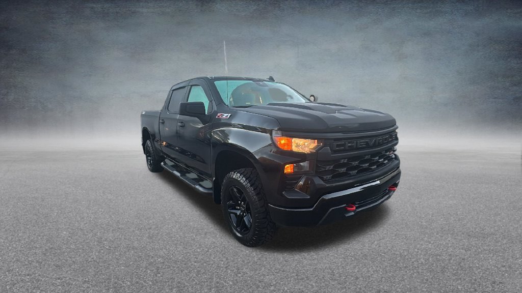 Used 2024 Chevrolet Silverado 1500 Custom Trail Boss AWD/4WD image 2