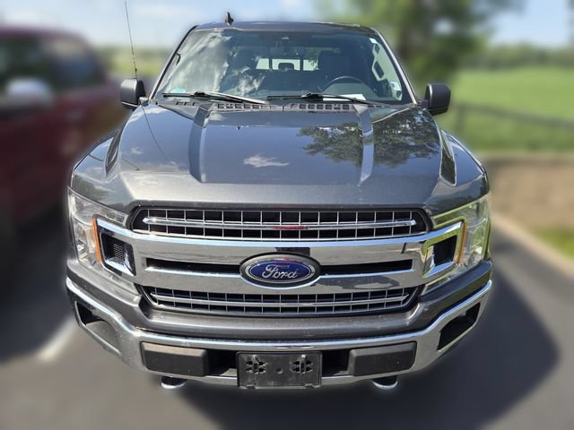 Used 2019 Ford F150 XLT w/ Equipment Group 302A Luxury AWD/4WD image 2