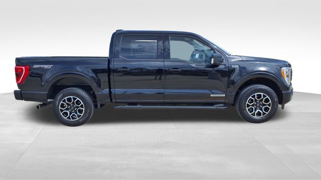 Used 2023 Ford F150 XLT w/ Equipment Group 302A High image 9