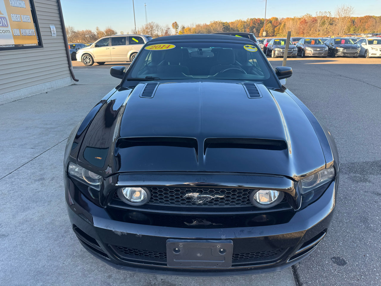 Used 2014 Ford Mustang GT w/ Equipment Group 301A image 2