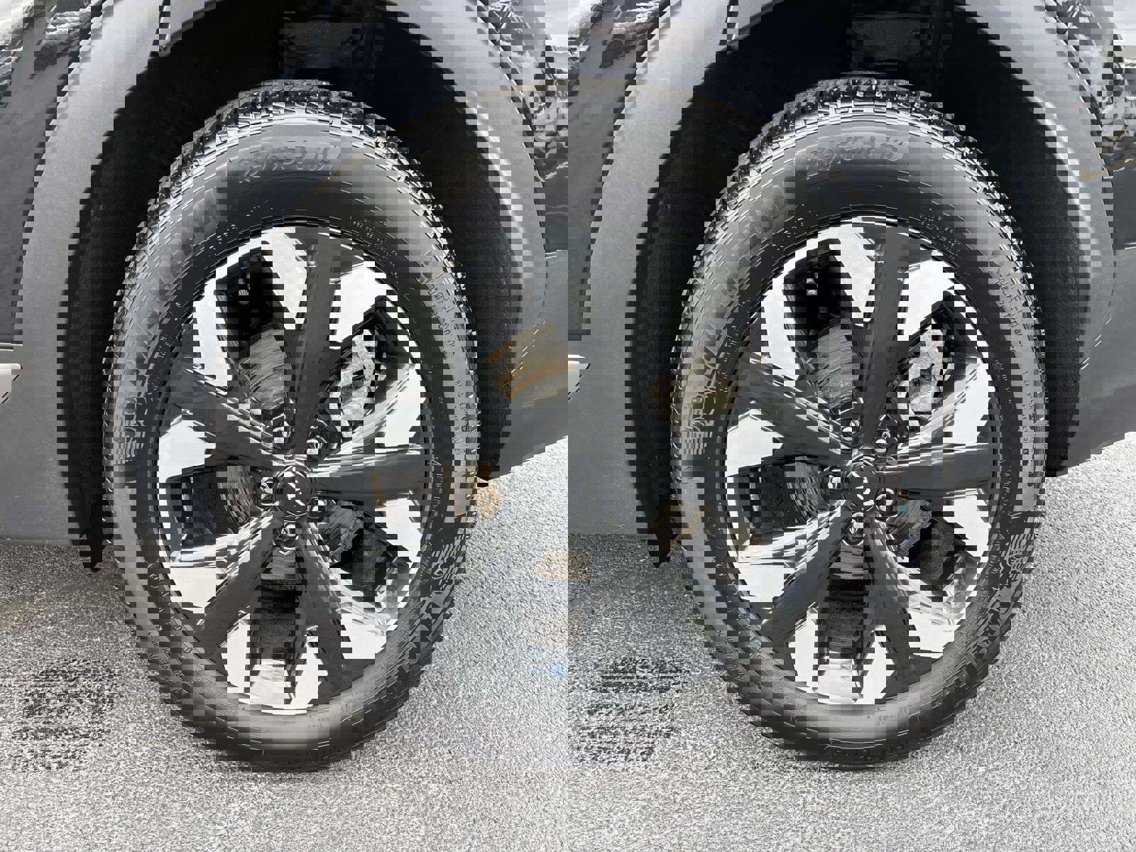 Used 2023 Kia Sportage X-Line Prestige image 8