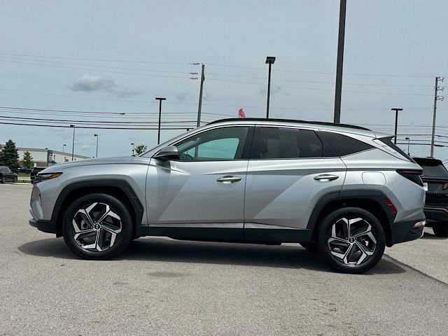 Used 2023 Hyundai Tucson Limited AWD/4WD image 3