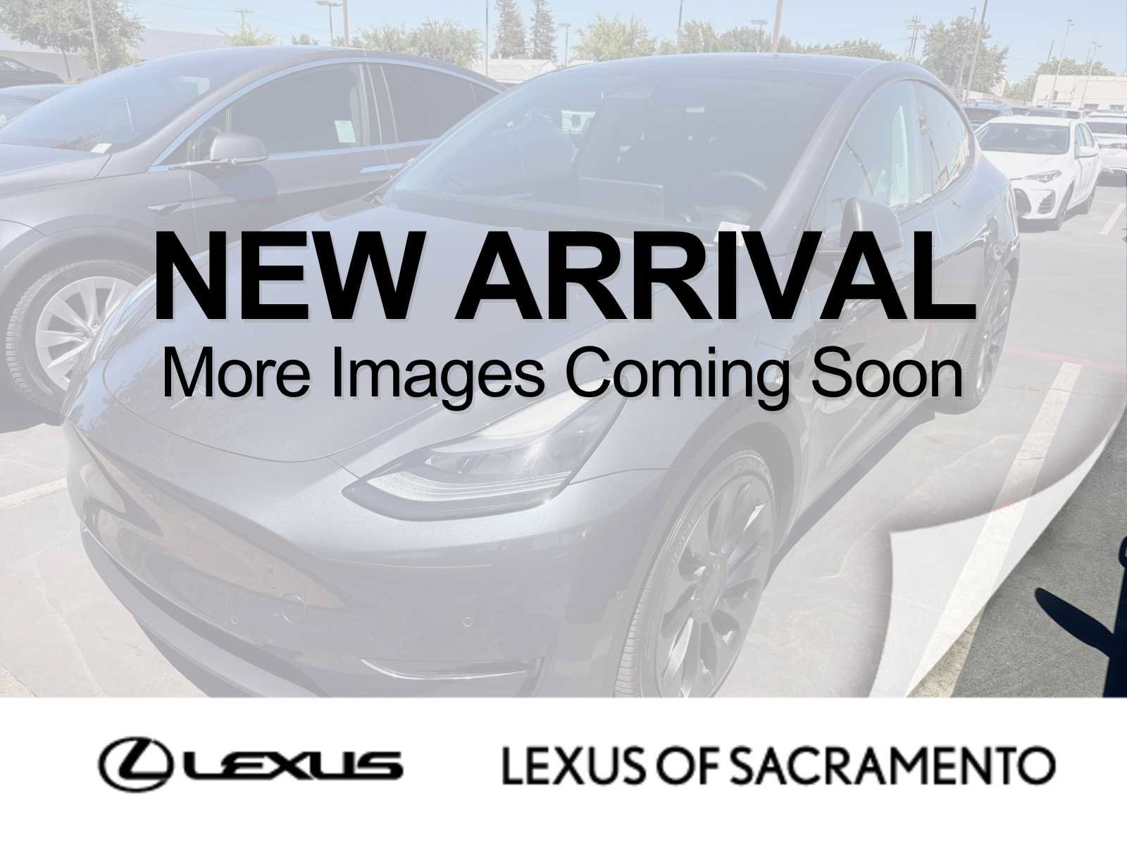 Used 2022 Tesla Model Y Performance AWD/4WD image 1