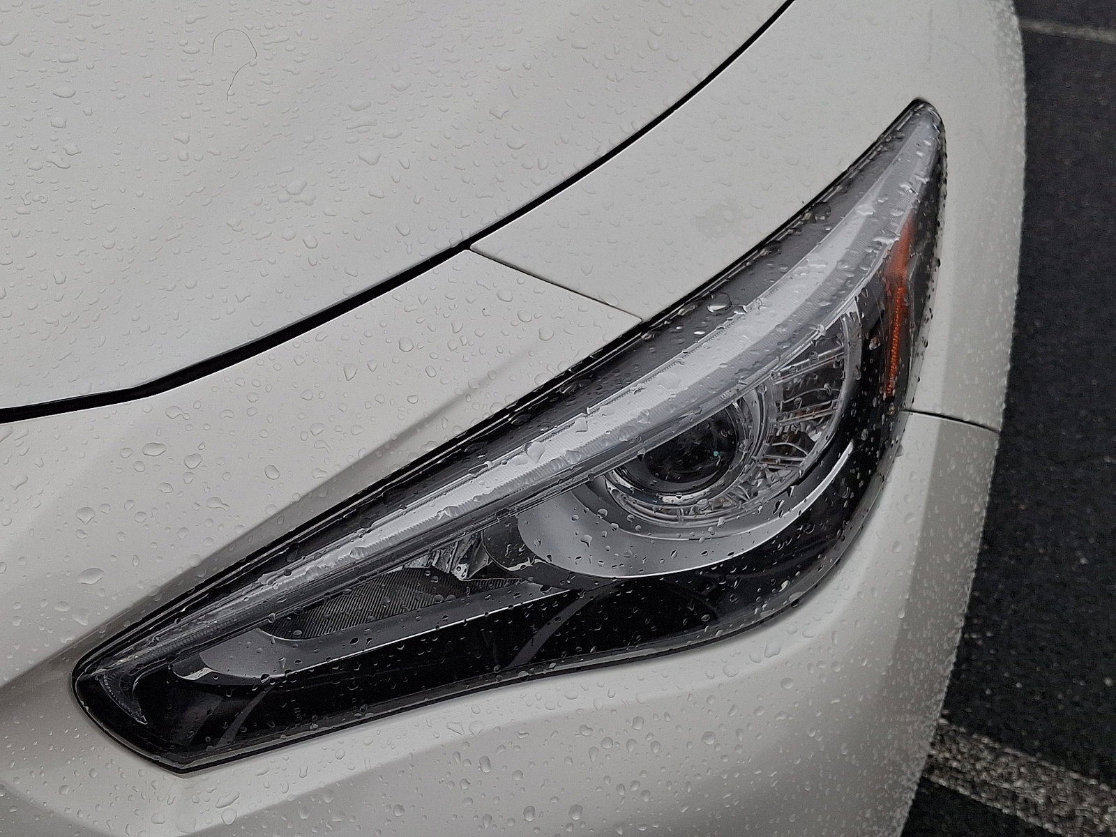 Certified 2022 INFINITI Q50 Luxe w/ Cargo Package image 9