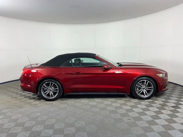 Used 2015 Ford Mustang Premium w/ Equipment Group 201A RWD image 2