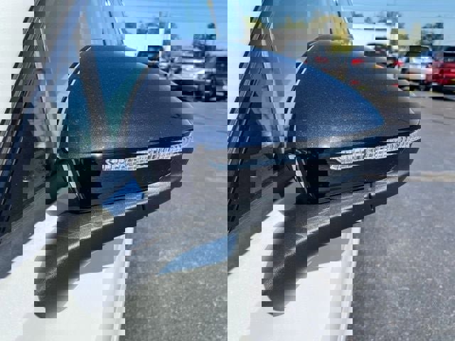 New 2025 Volkswagen Tiguan SE R-Line image 13