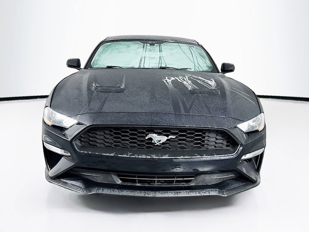 Used 2019 Ford Mustang Premium image 2