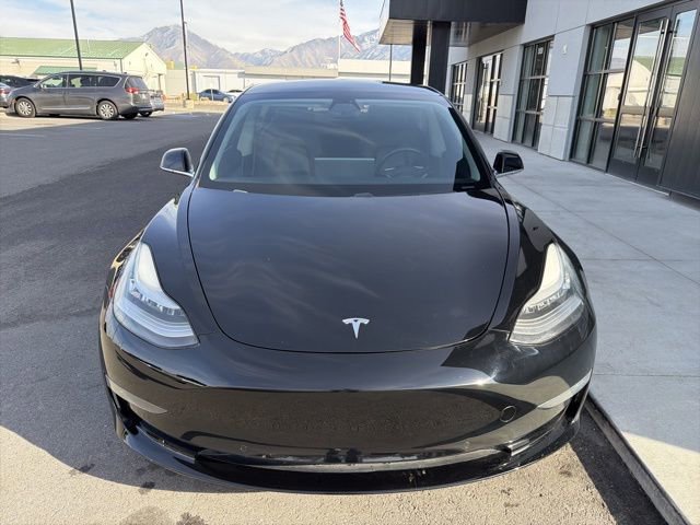Used 2019 Tesla Model 3 Standard Range Plus image 2