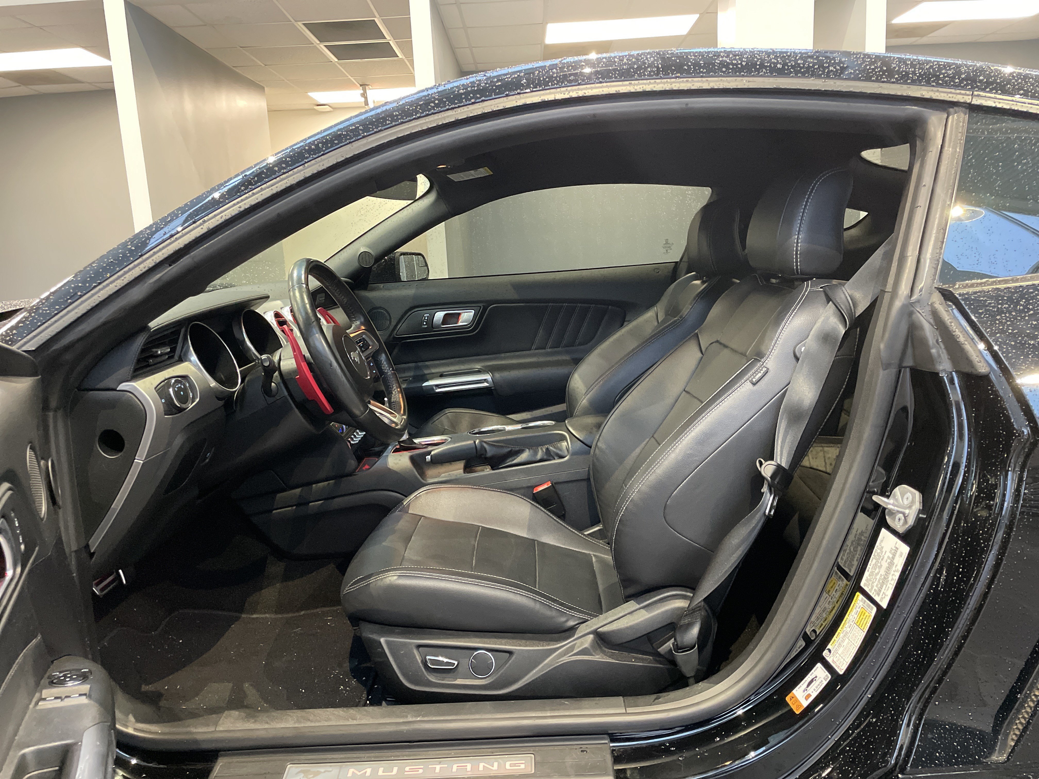 Used 2019 Ford Mustang GT Premium w/ Ford Safe & Smart Package RWD image 17