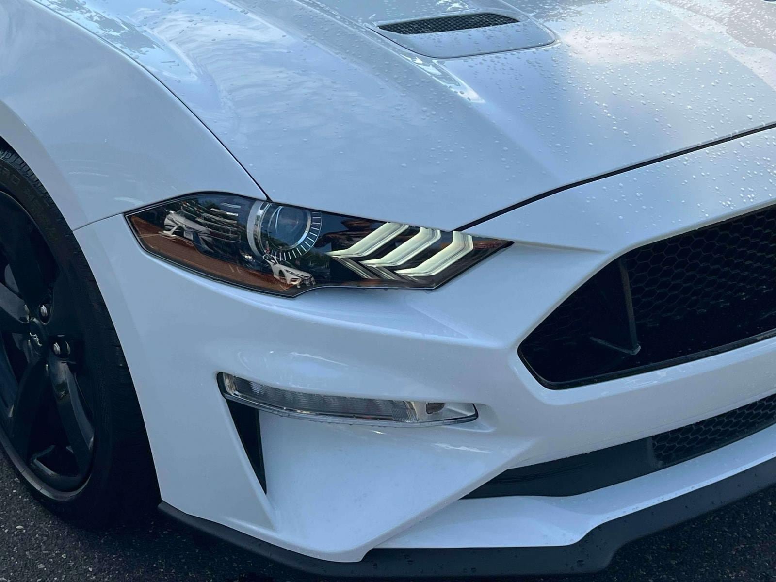 Used 2023 Ford Mustang GT Premium w/ Mustang Nite Pony Package RWD image 8