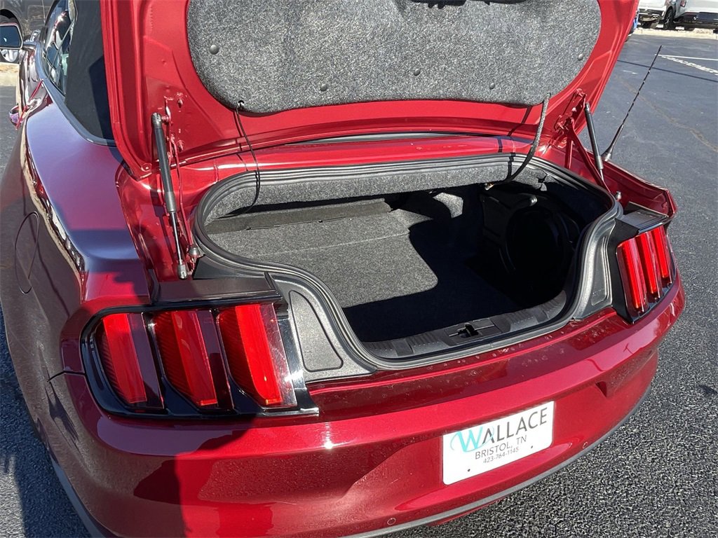 Used 2017 Ford Mustang GT Premium w/ Equipment Group 401A image 33