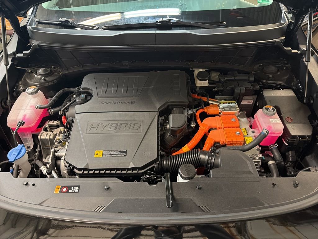 Certified 2025 Kia Niro EX image 11