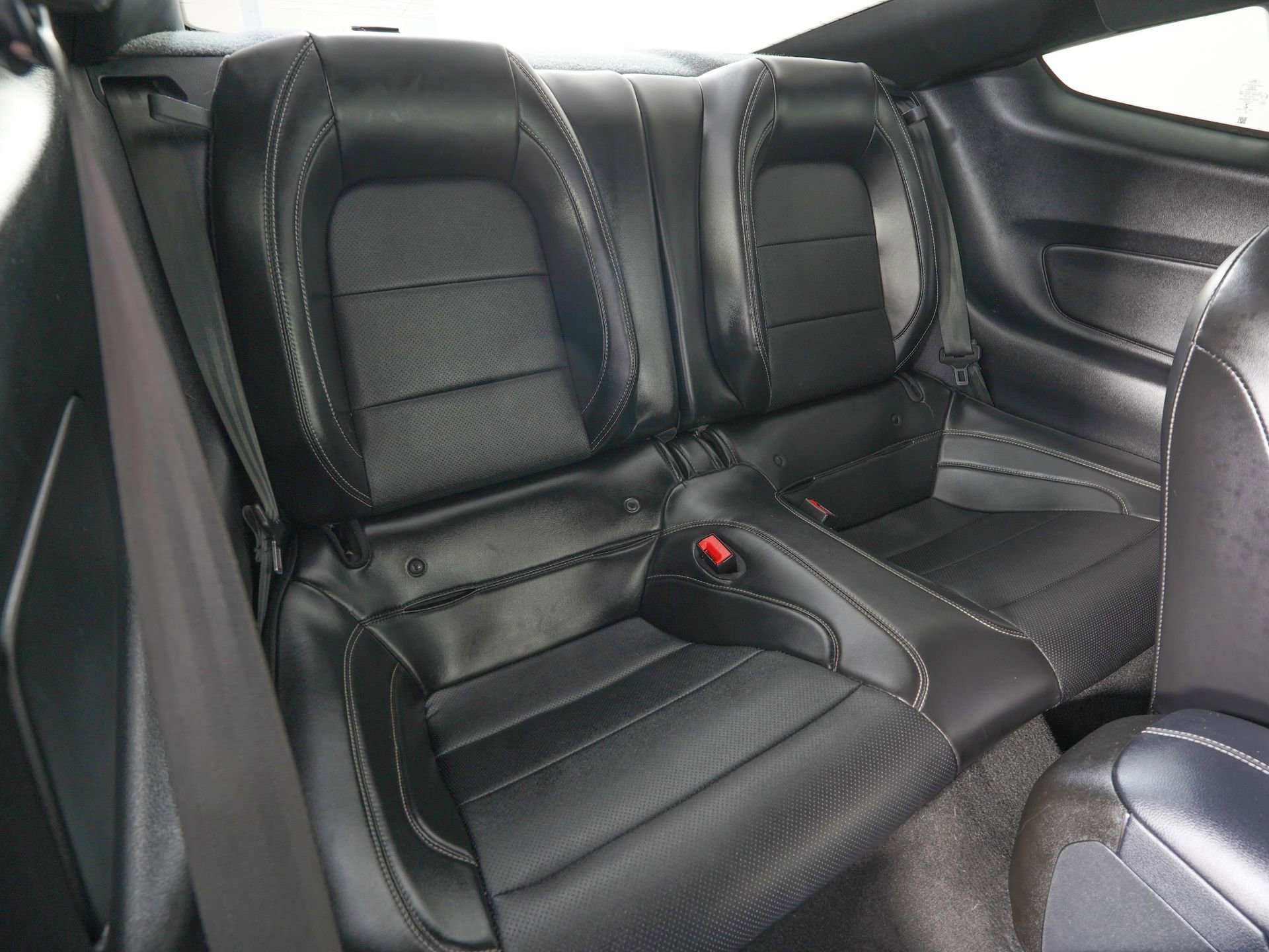 Used 2020 Ford Mustang GT Premium w/ Equipment Group 401A RWD image 10