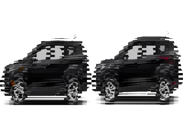 Used 2019 Ford Escape Titanium image 3